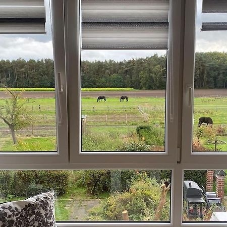Wunderschoene Ferienwohnung Auf Dem Bauernhof Greven Eksteriør billede