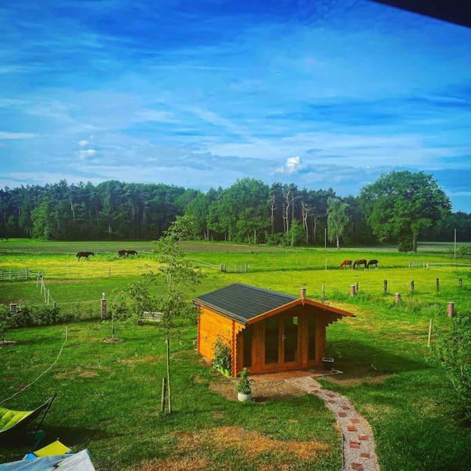 Wunderschoene Ferienwohnung Auf Dem Bauernhof Greven Eksteriør billede