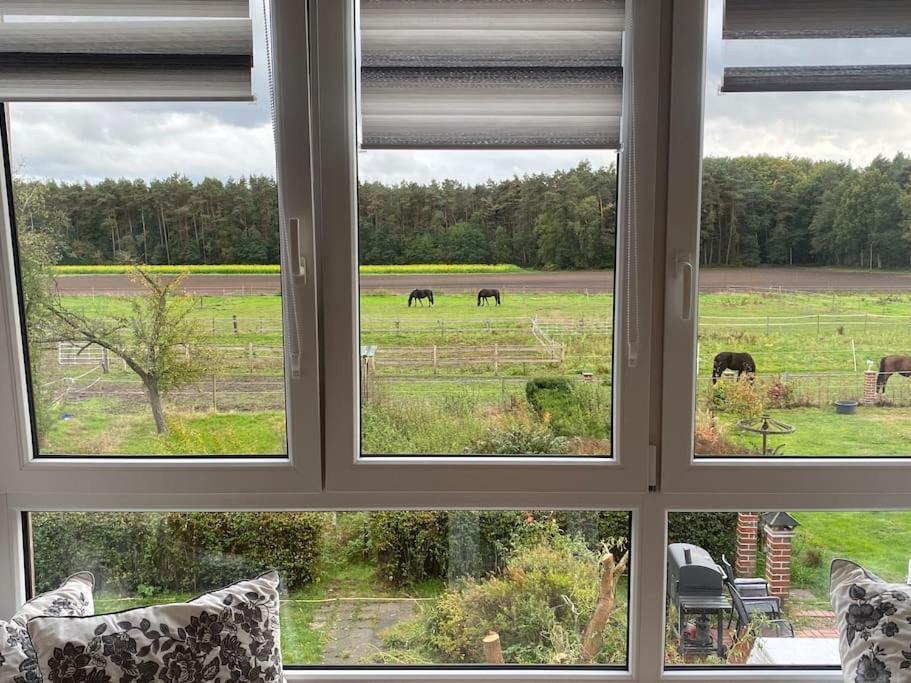 Wunderschoene Ferienwohnung Auf Dem Bauernhof Greven Eksteriør billede