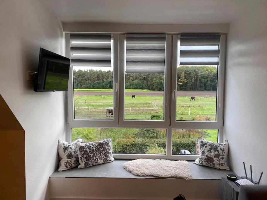 Wunderschoene Ferienwohnung Auf Dem Bauernhof Greven Eksteriør billede