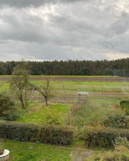 Wunderschoene Ferienwohnung Auf Dem Bauernhof Greven Eksteriør billede