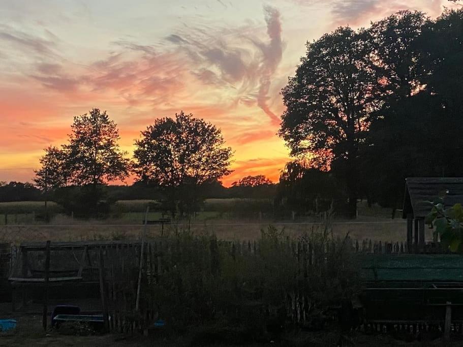 Wunderschoene Ferienwohnung Auf Dem Bauernhof Greven Eksteriør billede